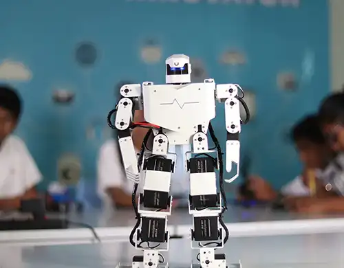 Holistic Development